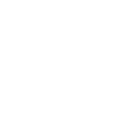 modalidad personalizada consultoria